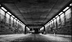 免费用虚拟号码发电话